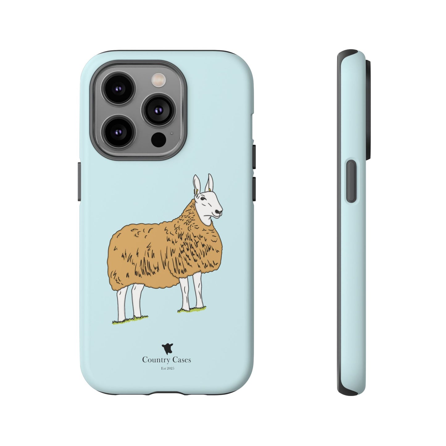 Border Leicester case