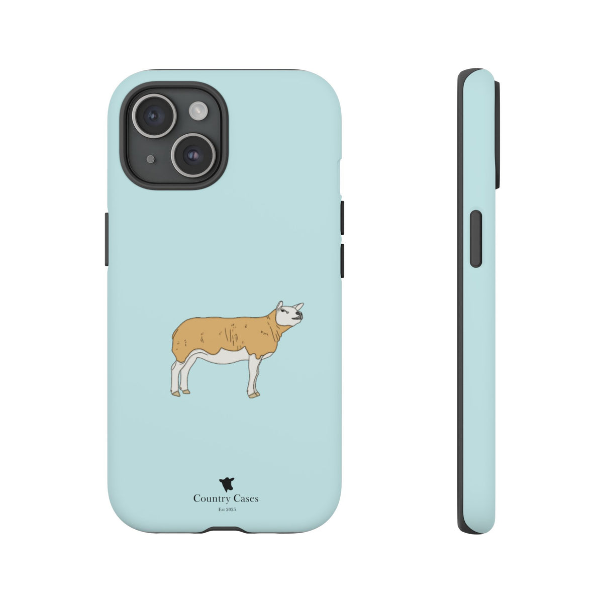 Texal Case