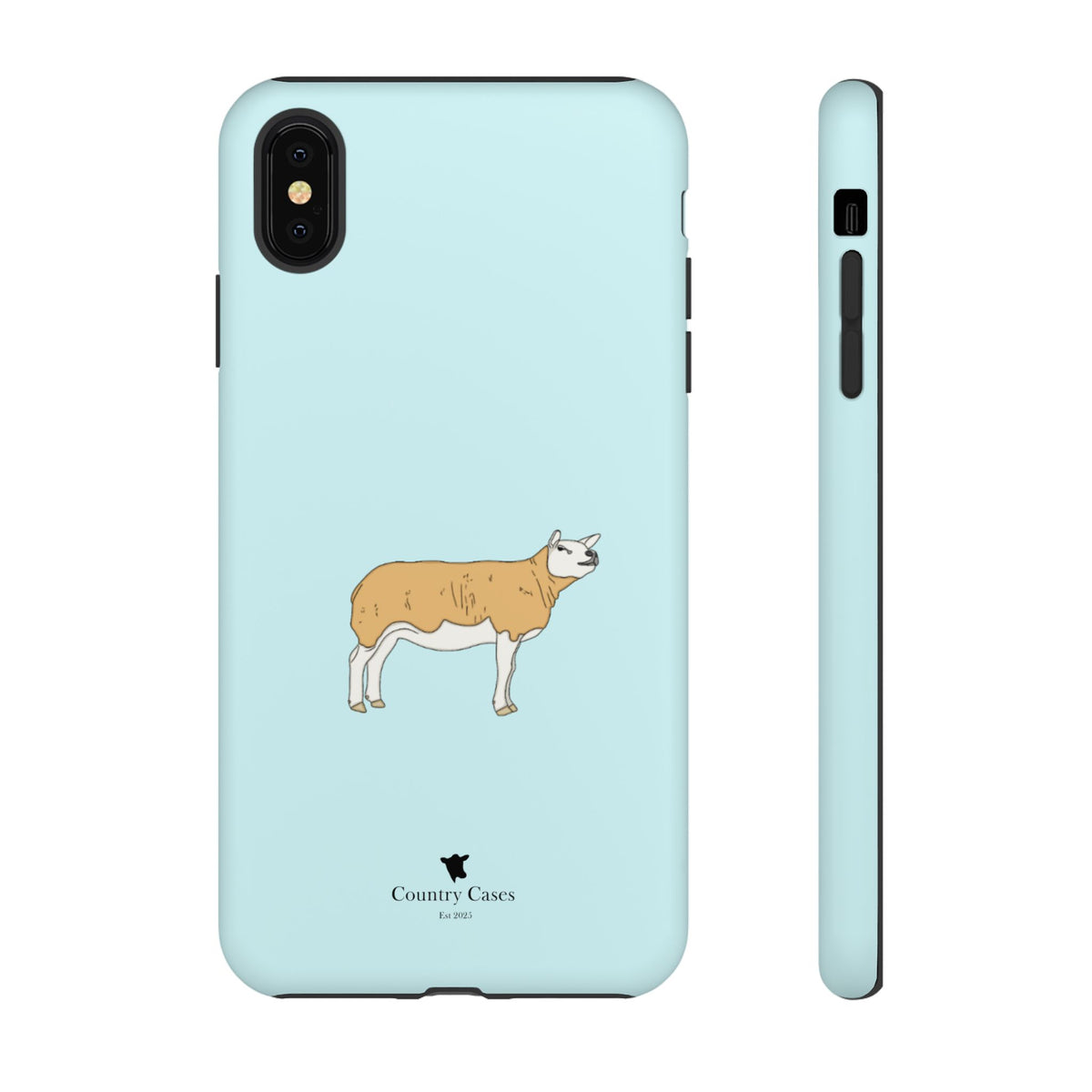 Texal Case