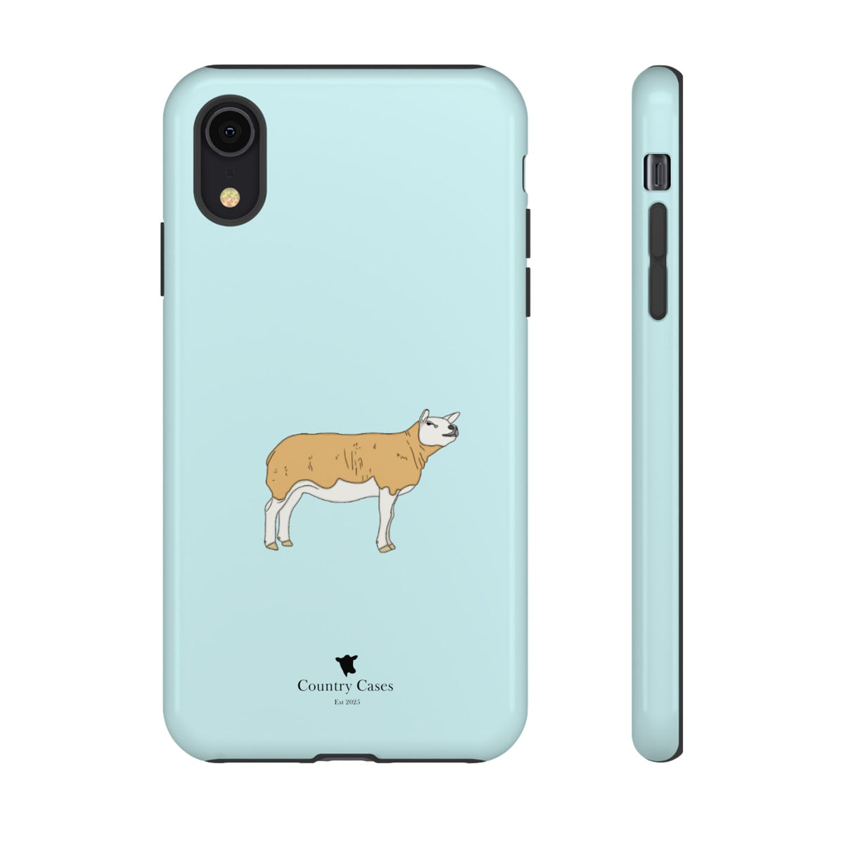Texal Case