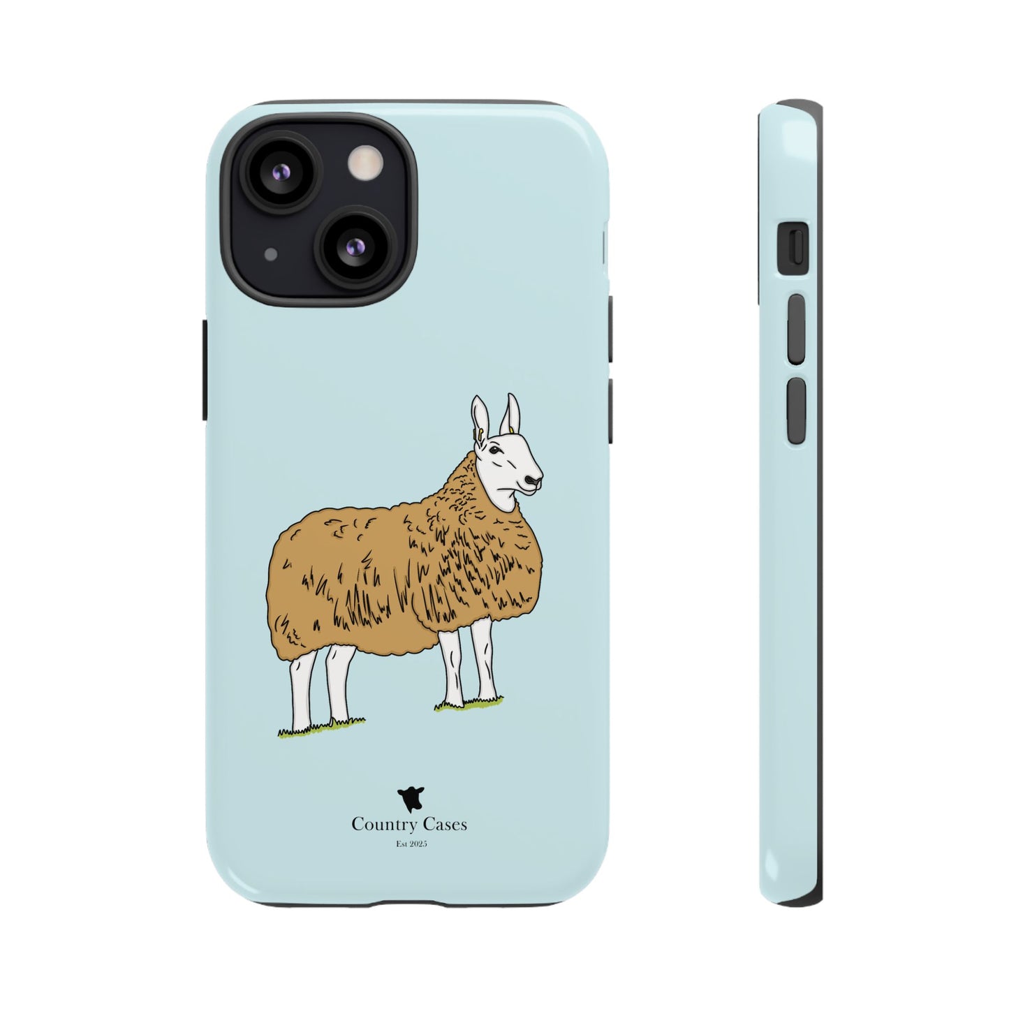 Border Leicester case
