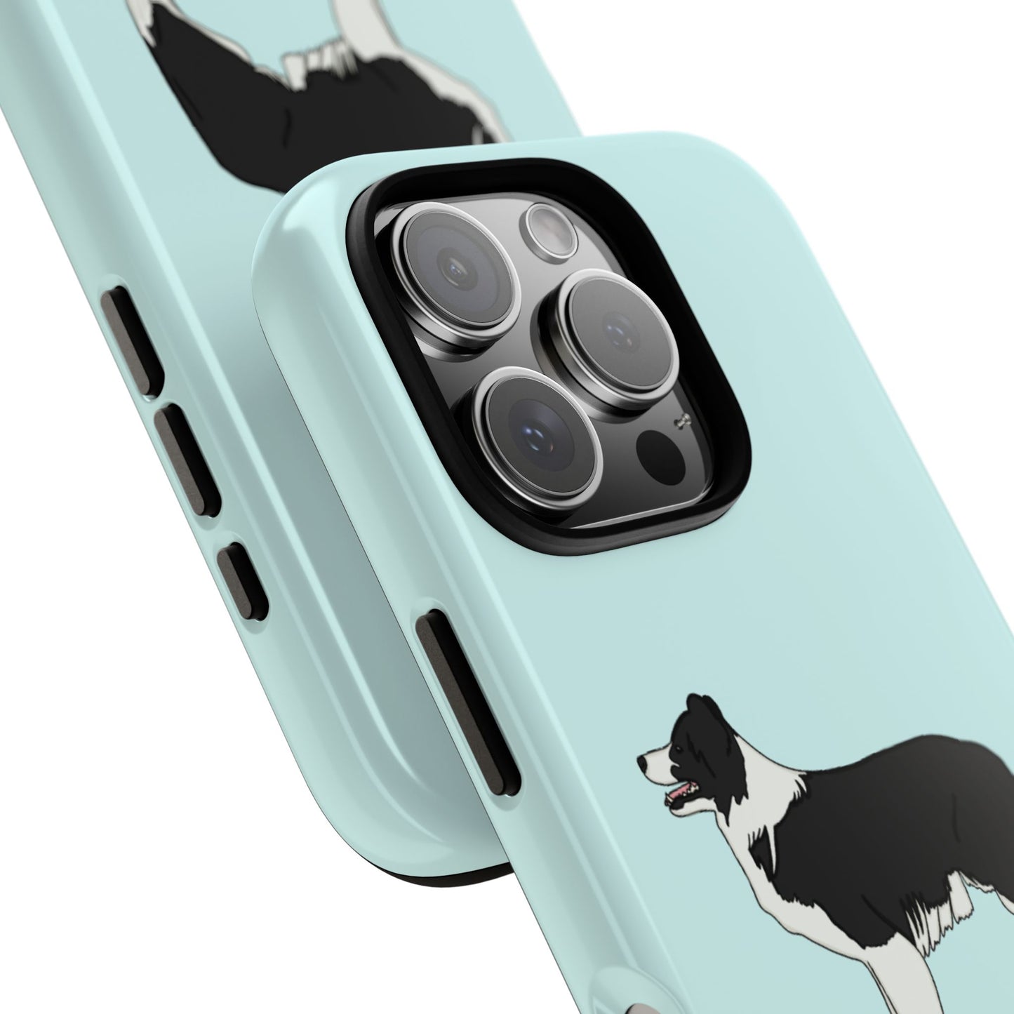 Collie case