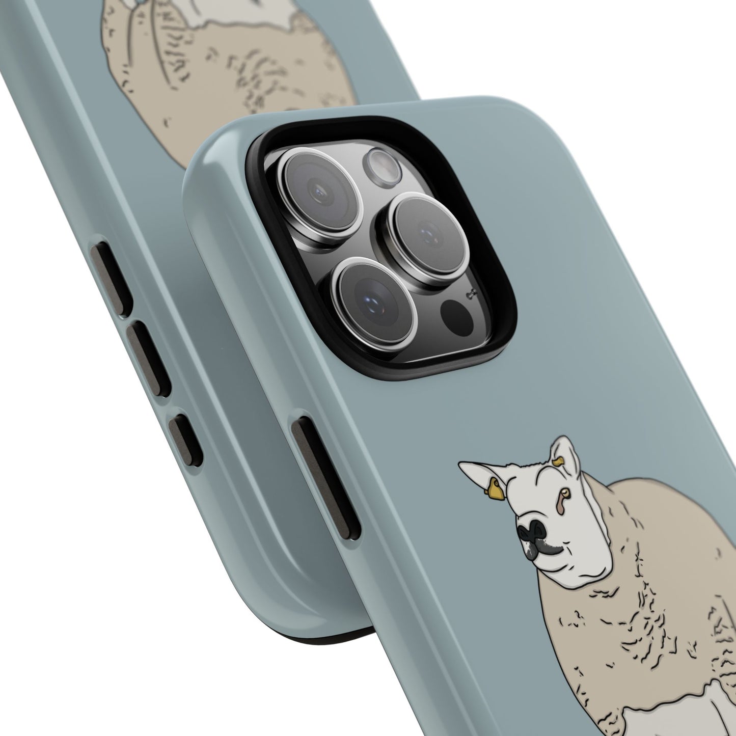 Shepherd Beltex Case
