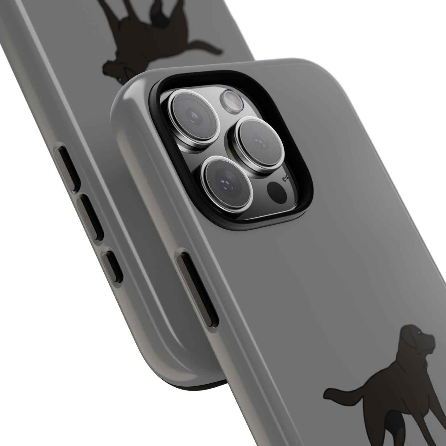 Black Labrador case