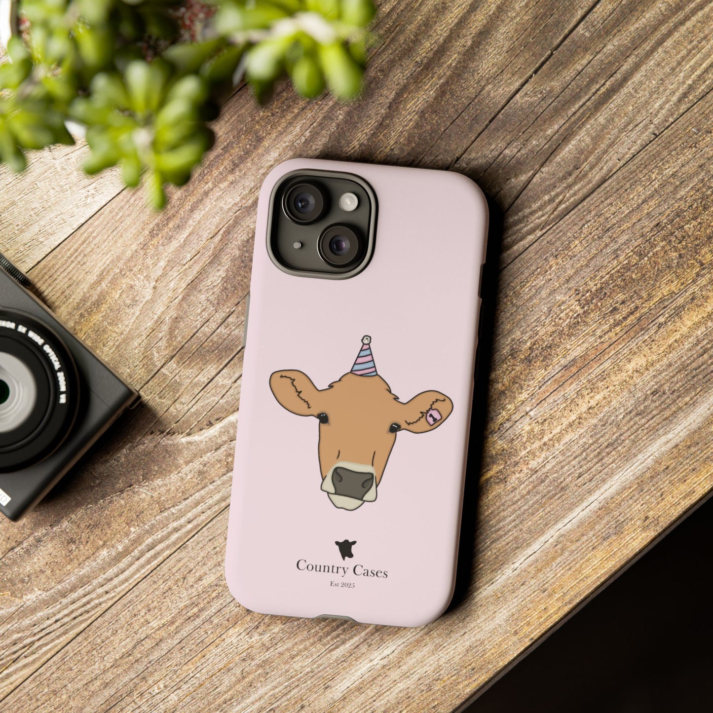Pink Birthday Case