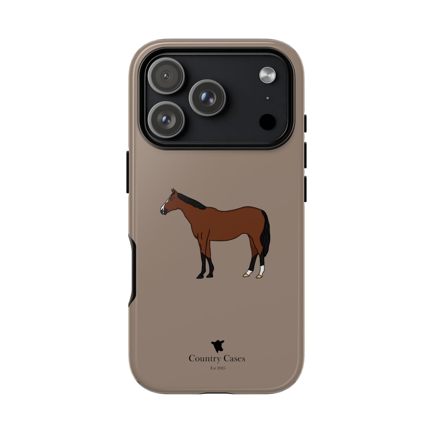 Bay horse case