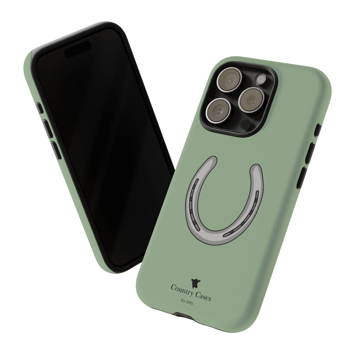 Horse Shoe Case