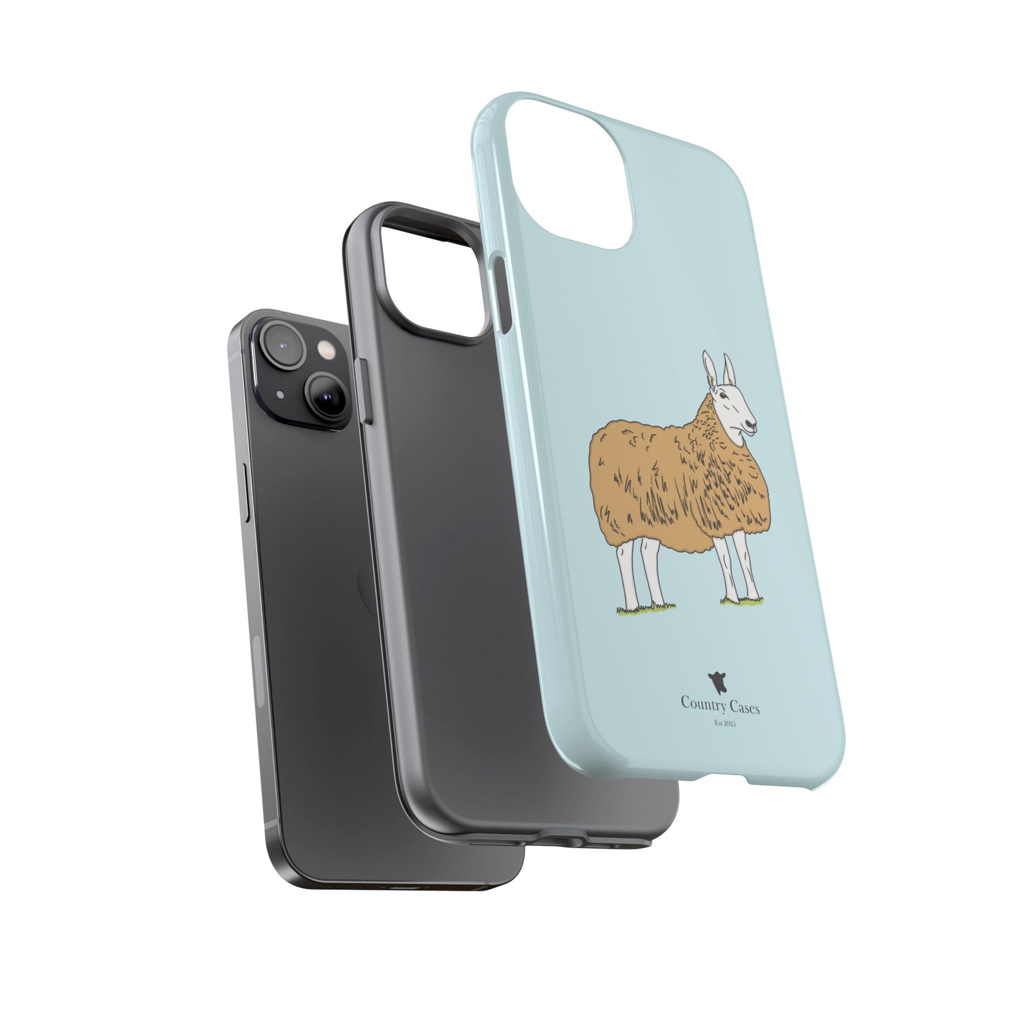 Border Leicester case