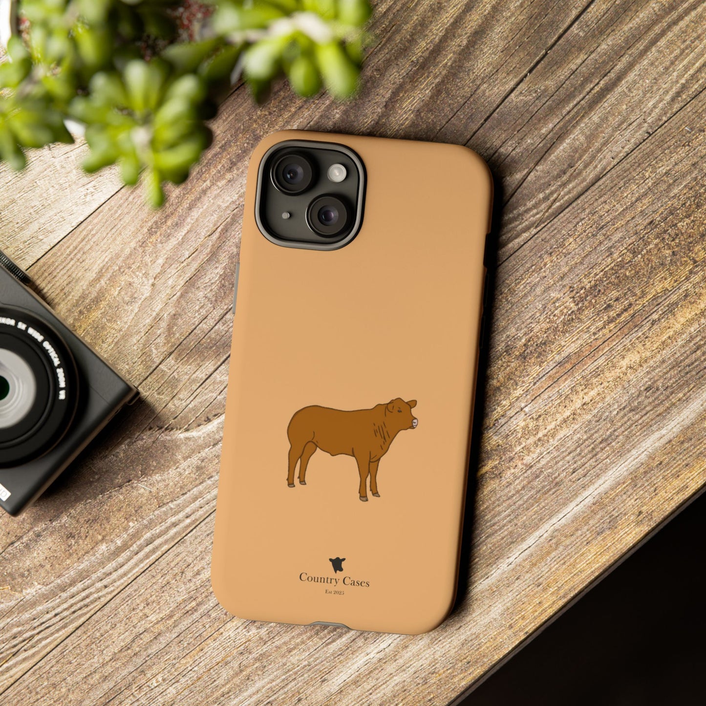 Beef Cow Case