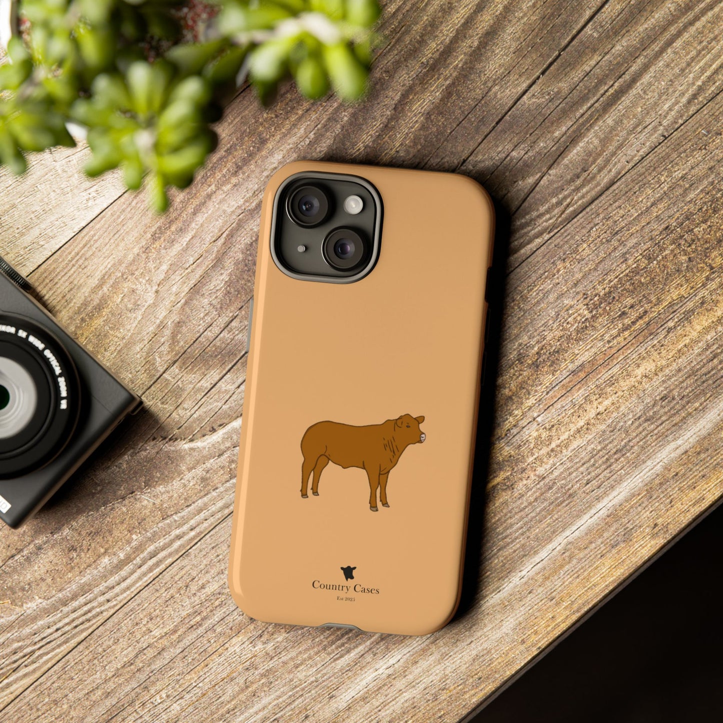 Beef Cow Case