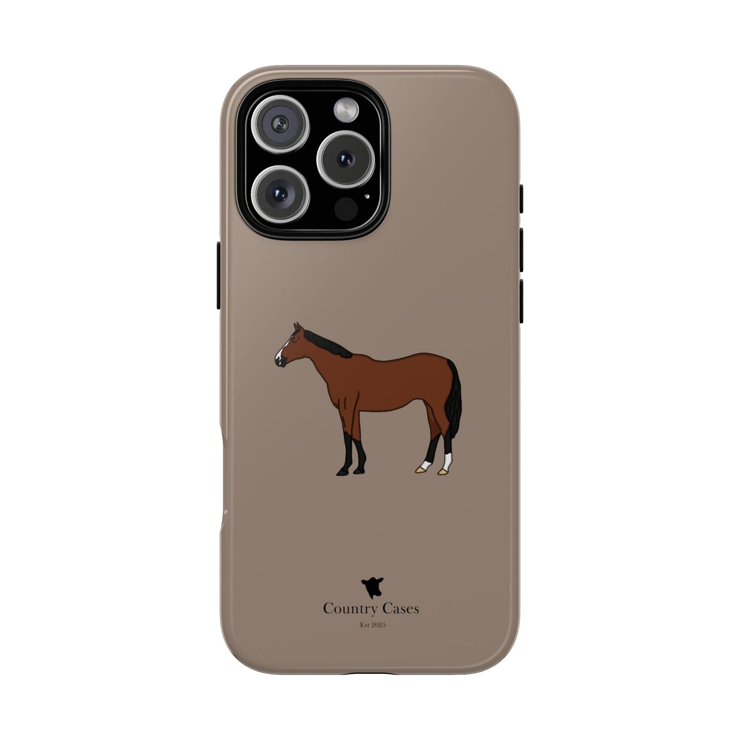 Bay horse case