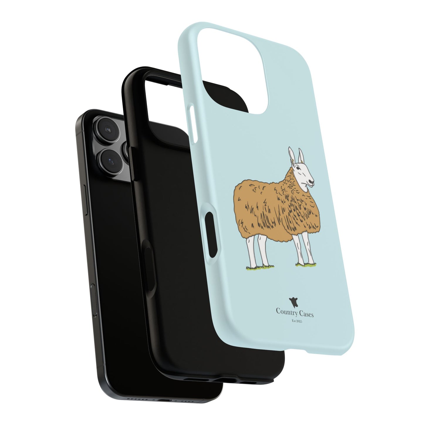 Border Leicester case