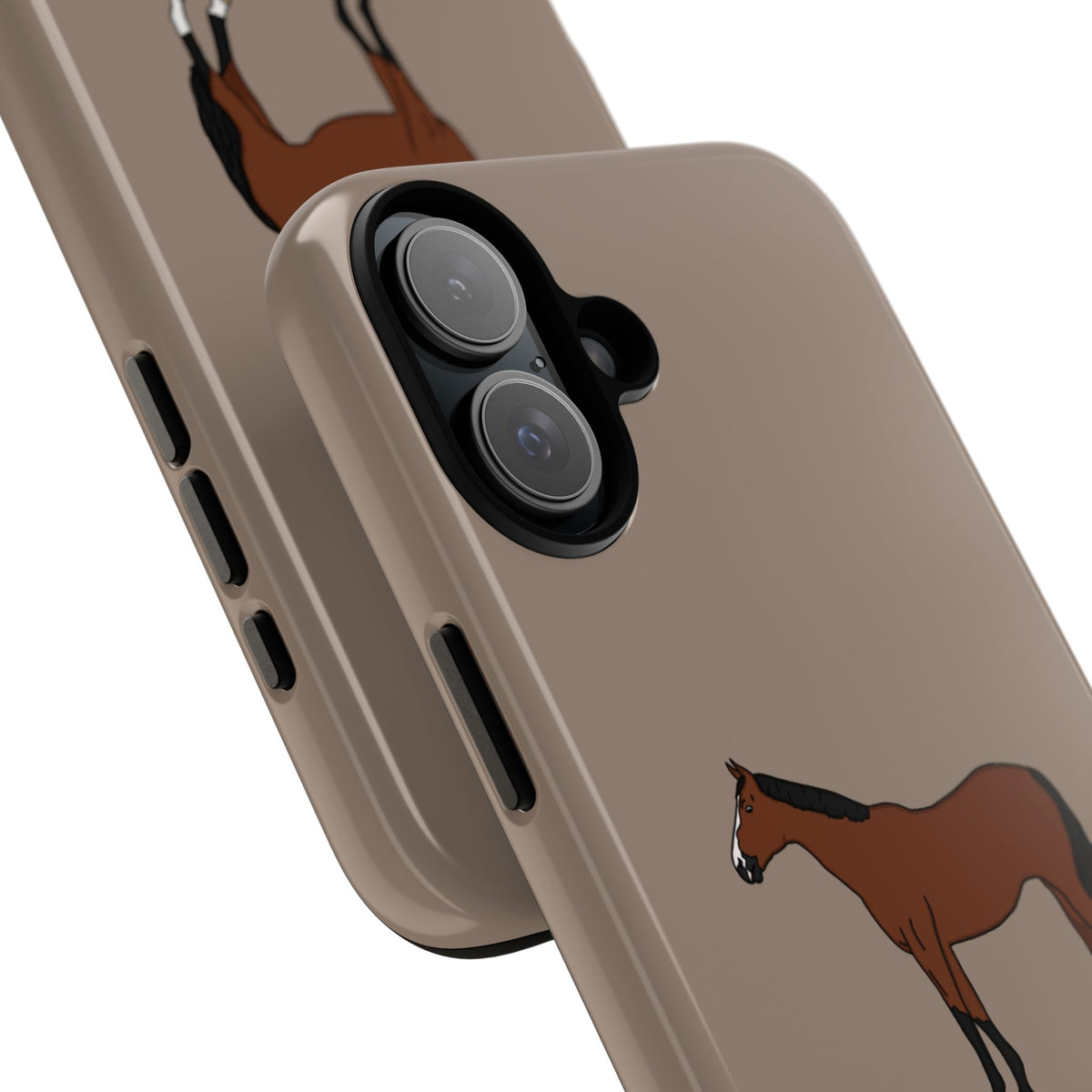 Bay Horse Case