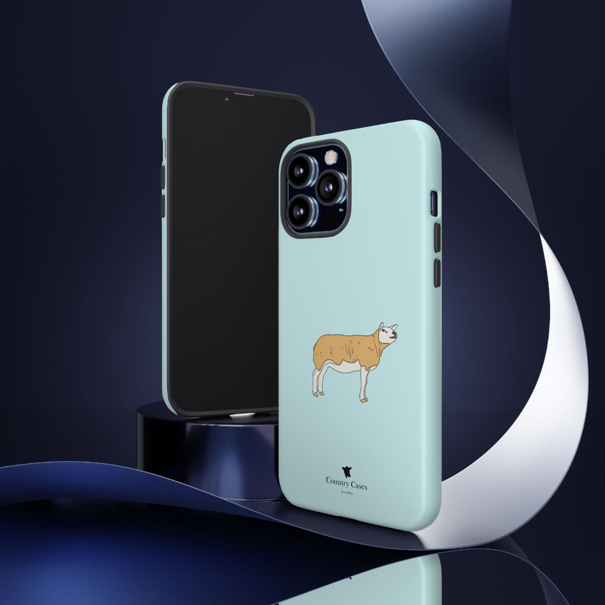 Texal Case