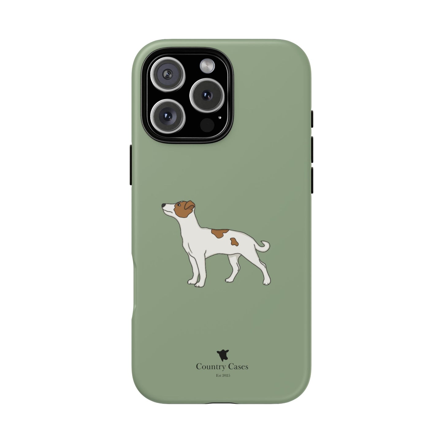 Jack Russell terrier case