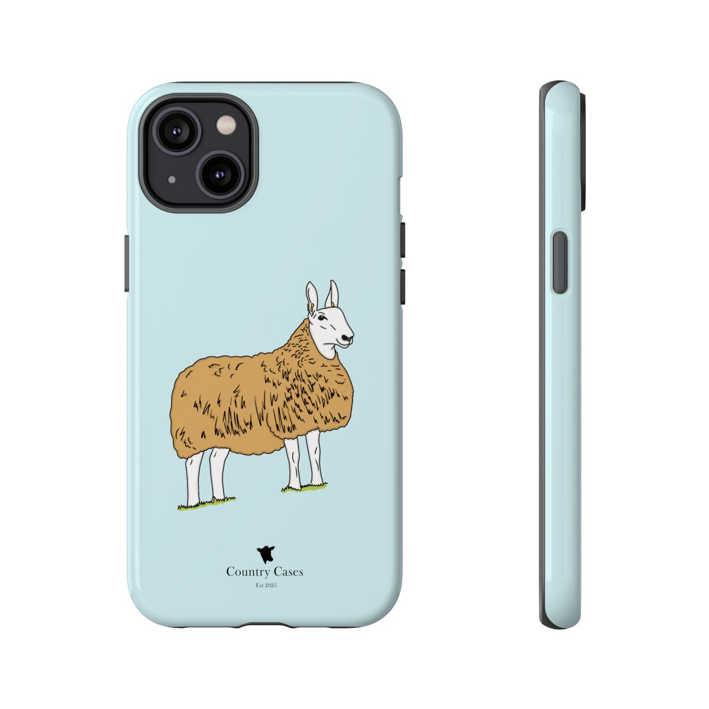 Border Leicester case
