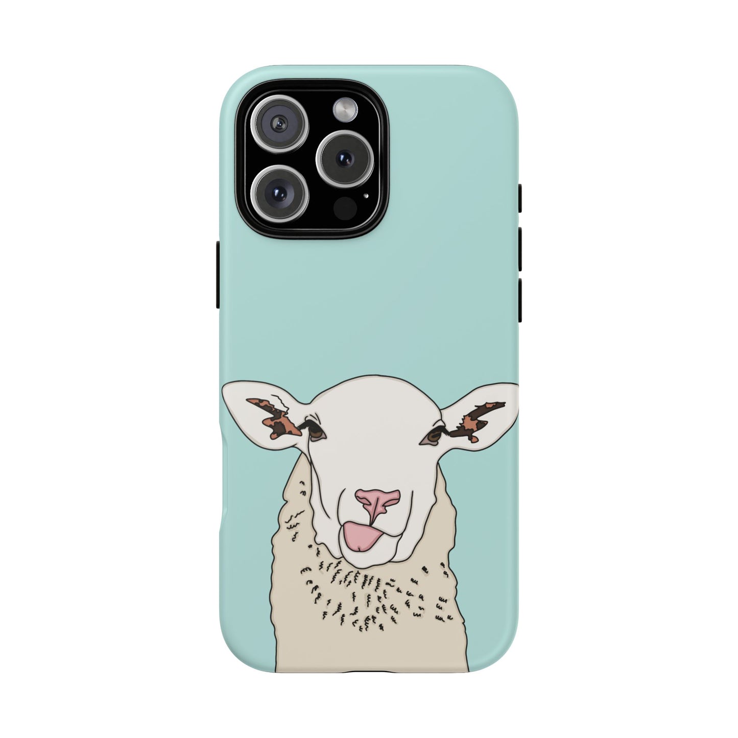 Silly sheep case