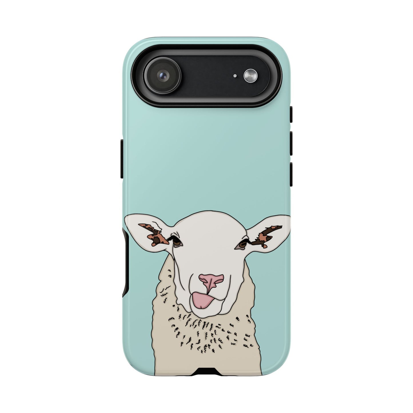 Silly sheep case