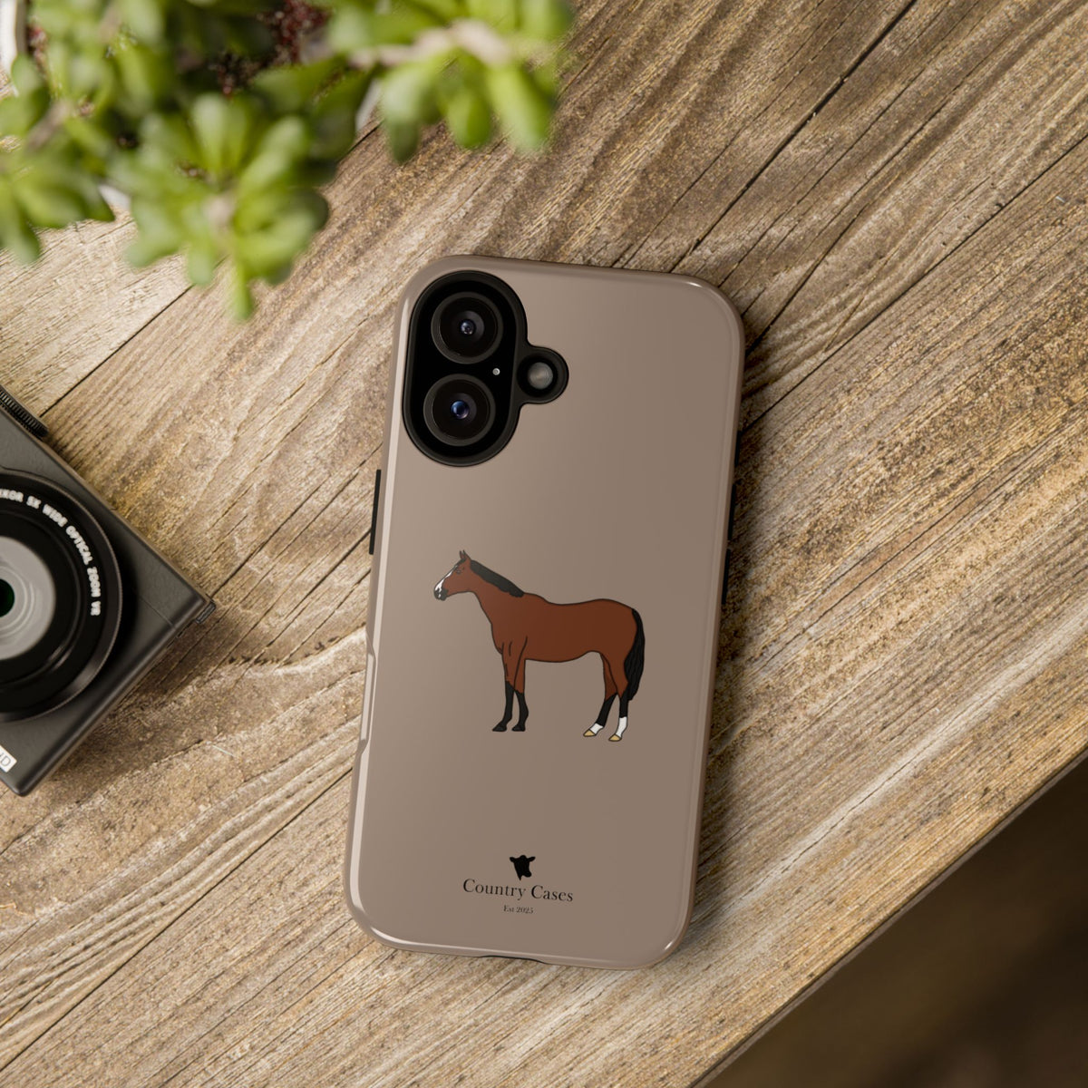 Bay Horse Case