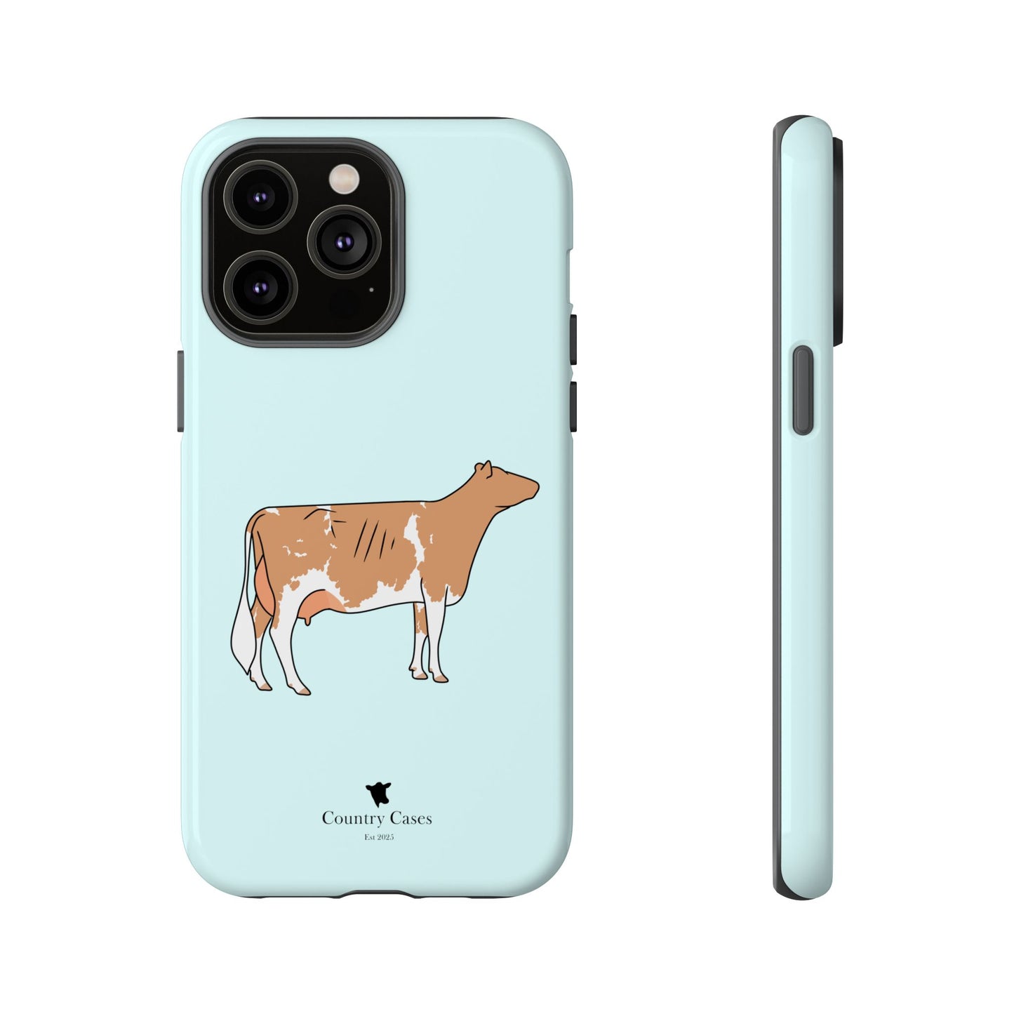 Gurnsey case