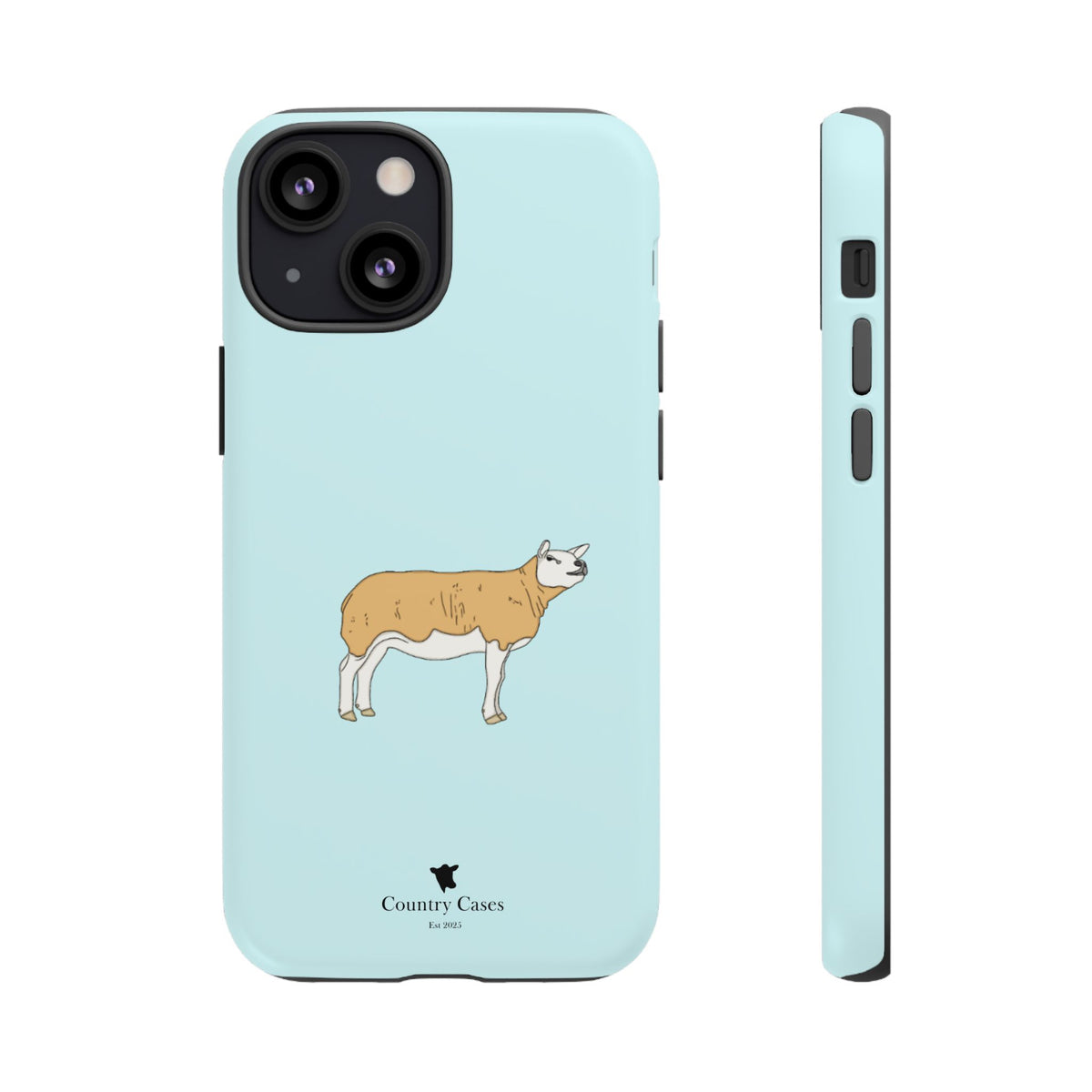 Texal Case