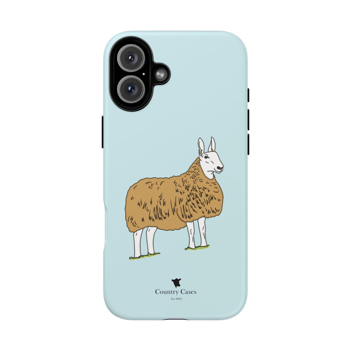 Border Leicester case