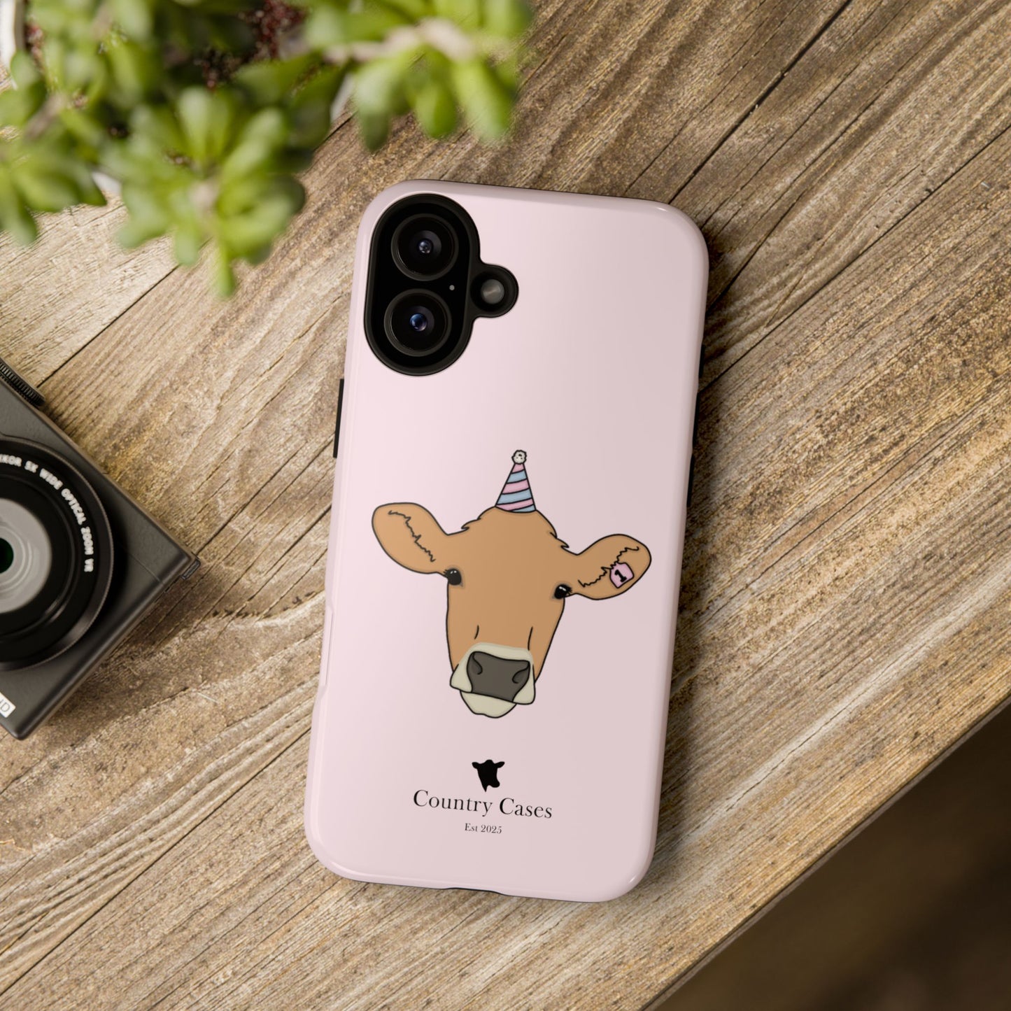 Pink Birthday Case