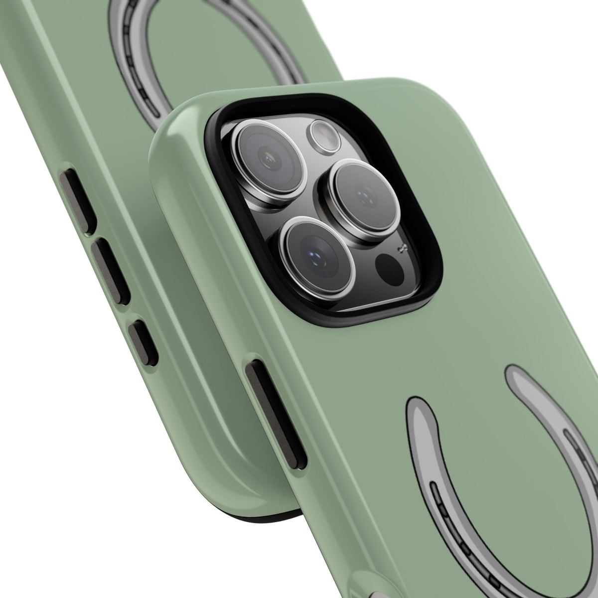 Horse Shoe Case