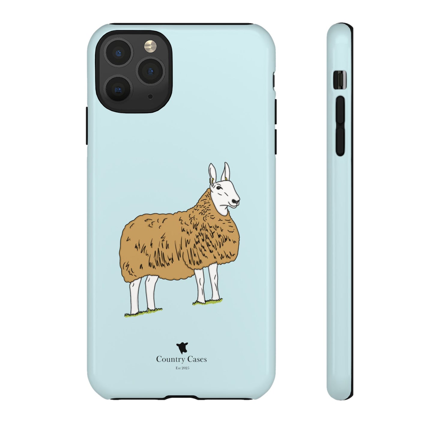 Border Leicester case