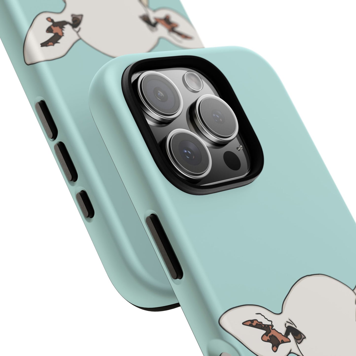 Silly sheep case