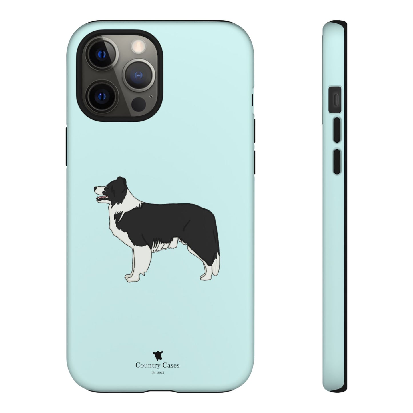 Collie case