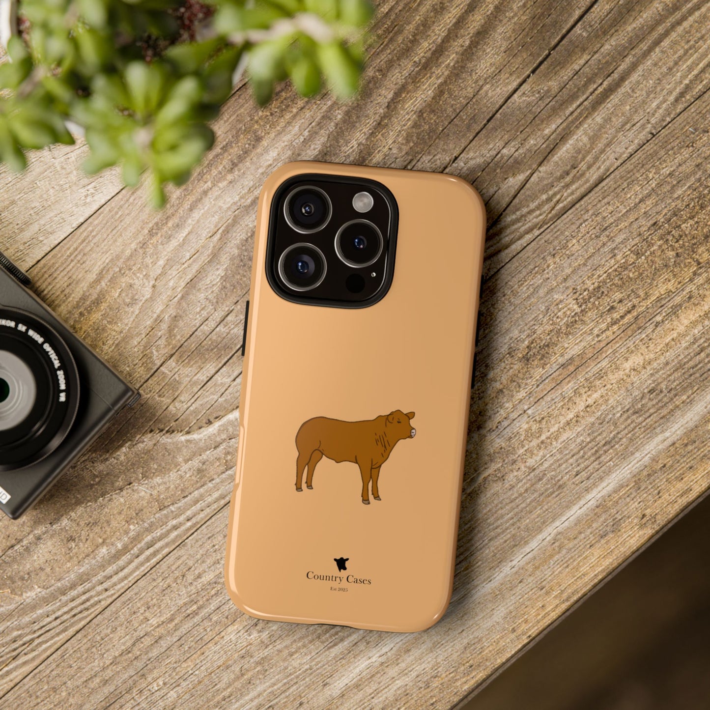 Beef Cow Case