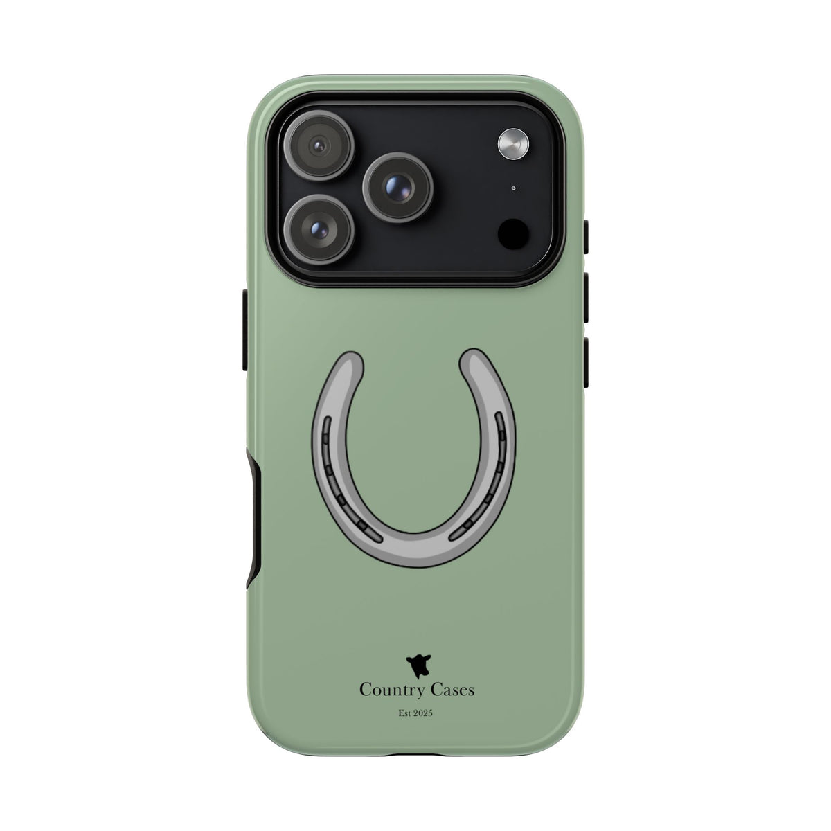 Horse Shoe Case