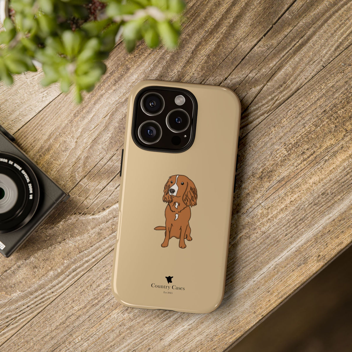 Golden Spaniel Case