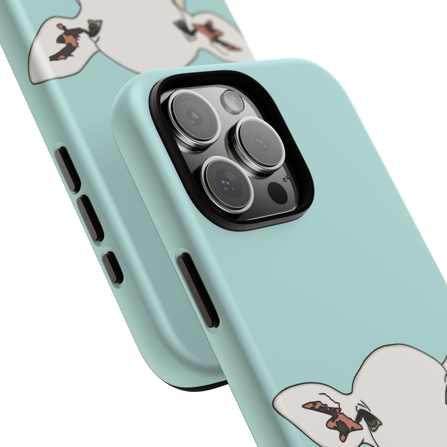 Silly sheep case