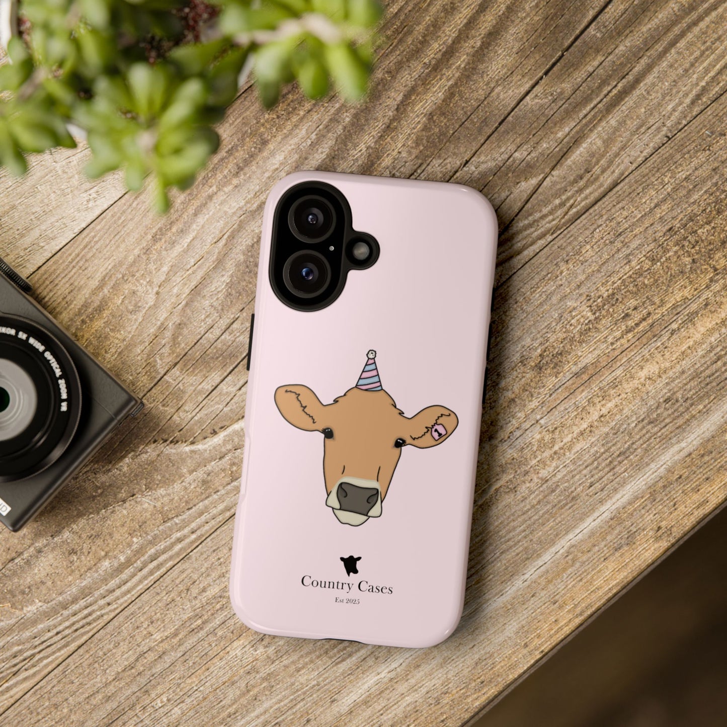 Pink Birthday Case