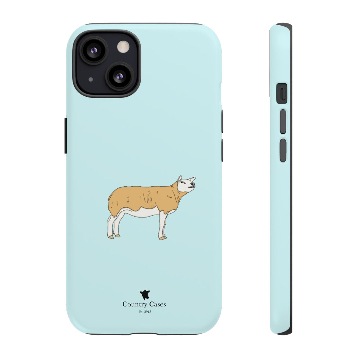 Texal Case
