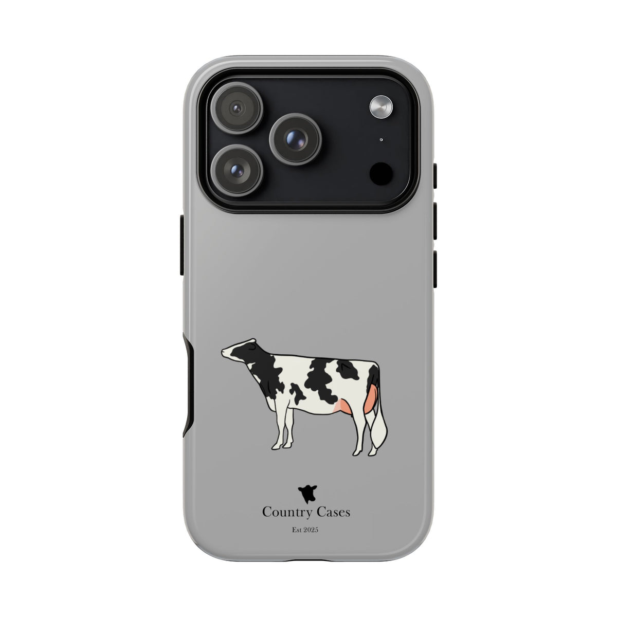 Black Holstein Case