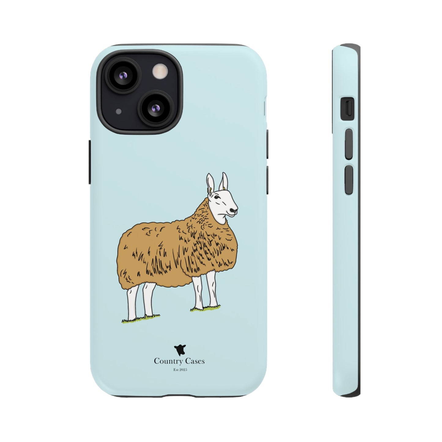 Border Leicester case