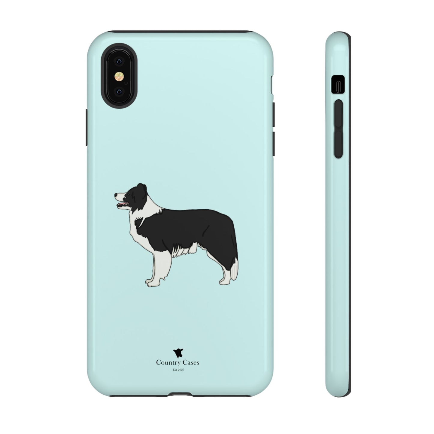 Collie case