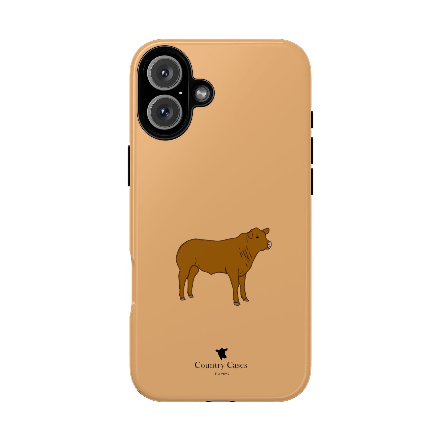 Beef Cow Case