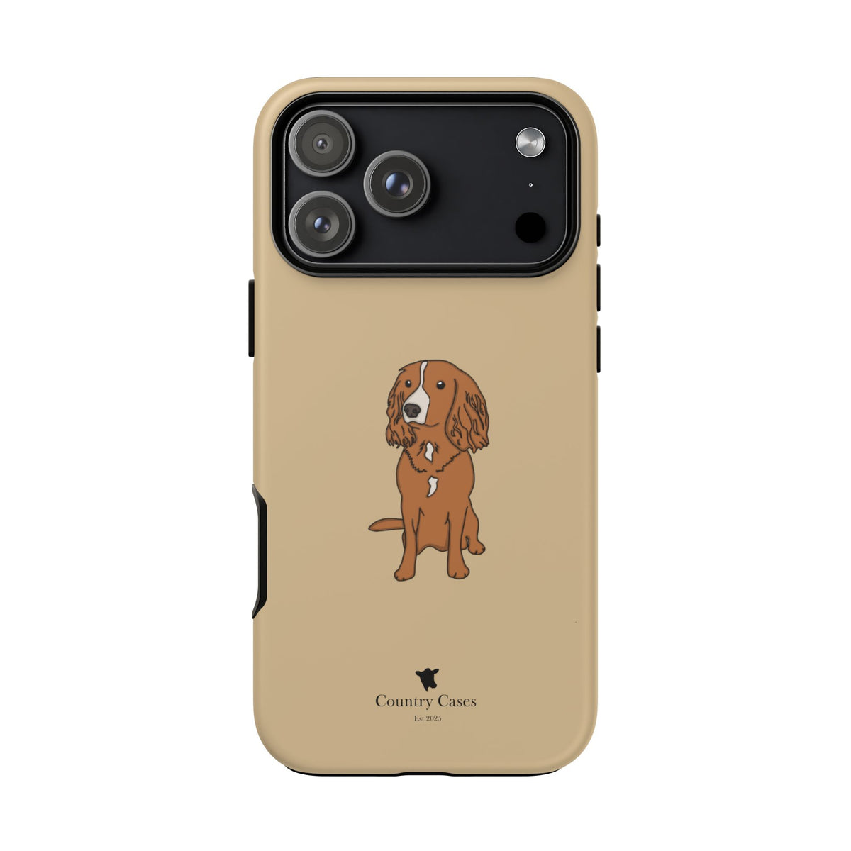 Golden Spaniel Case