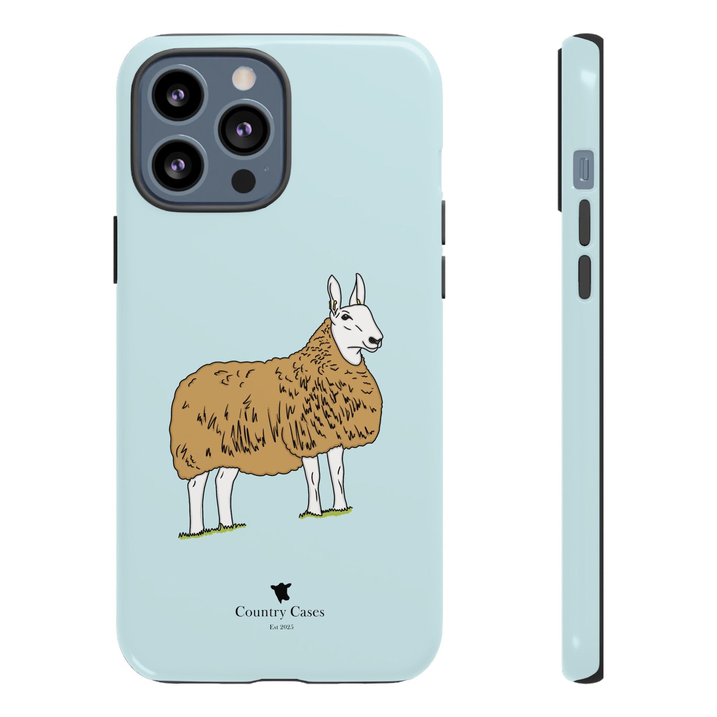 Border Leicester case