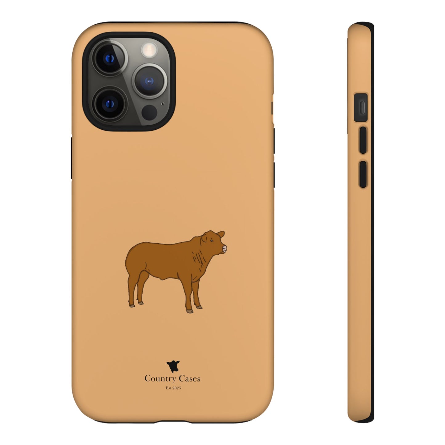 Beef Cow Case
