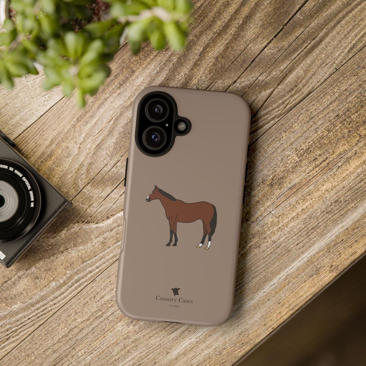 Bay Horse Case