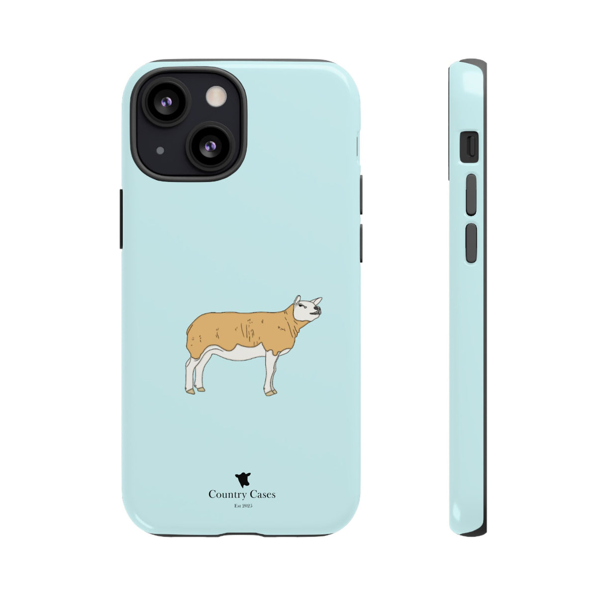 Texal Case
