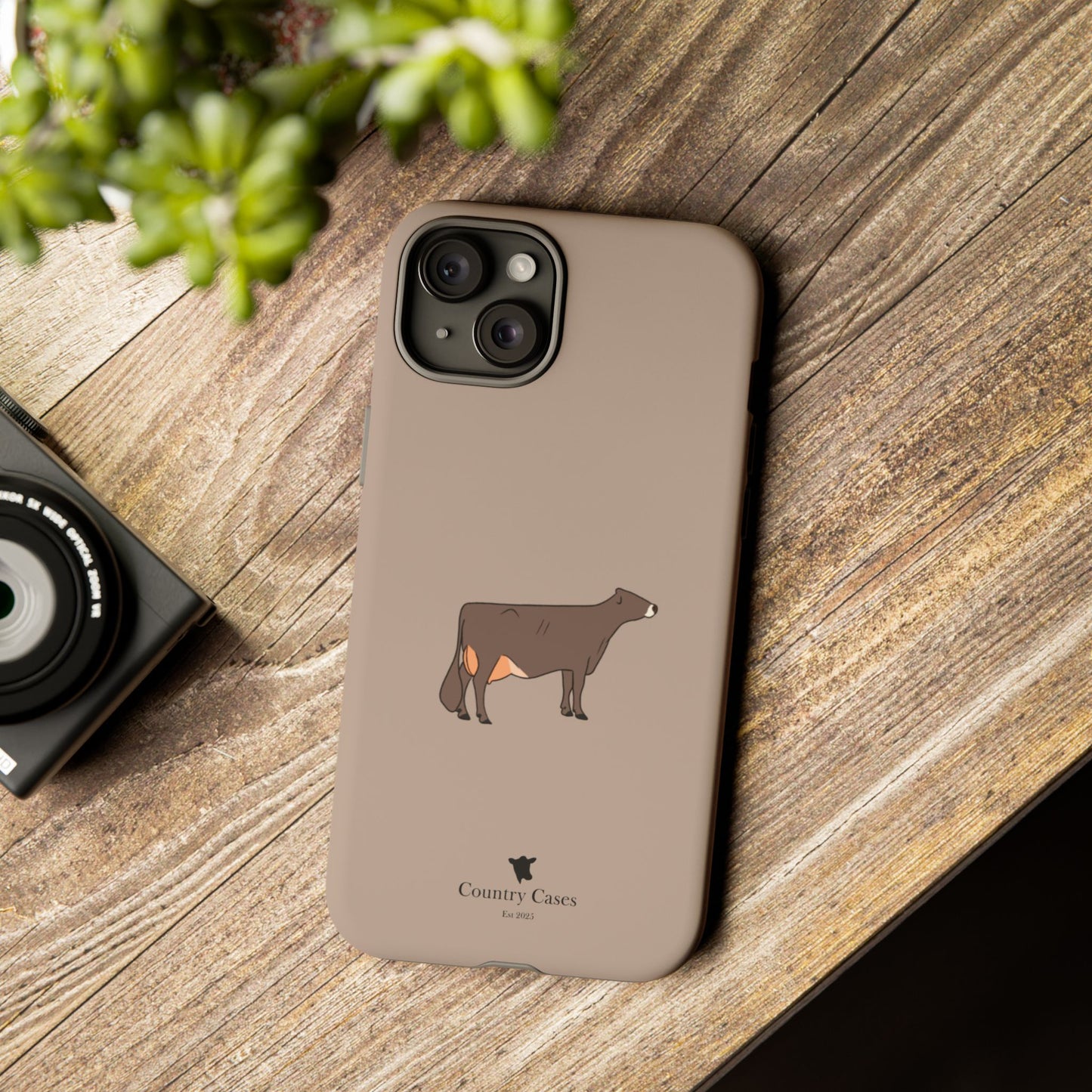 Brown Swiss case