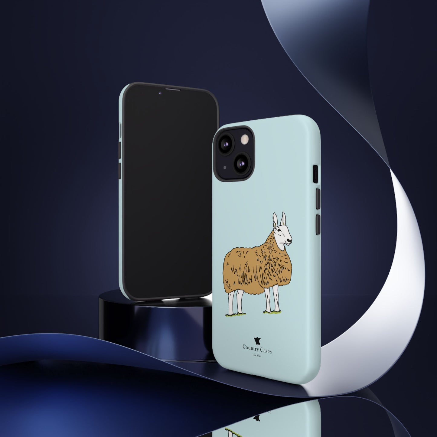 Border Leicester case