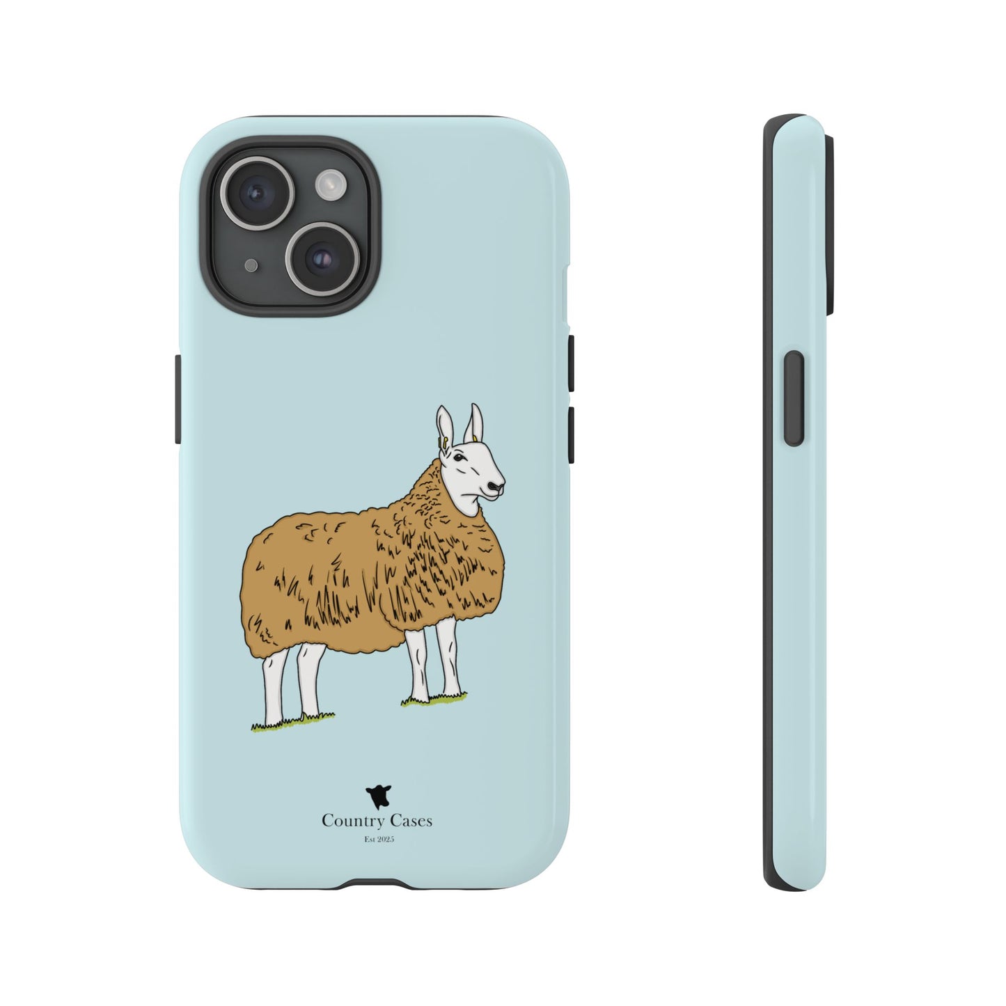 Border Leicester case