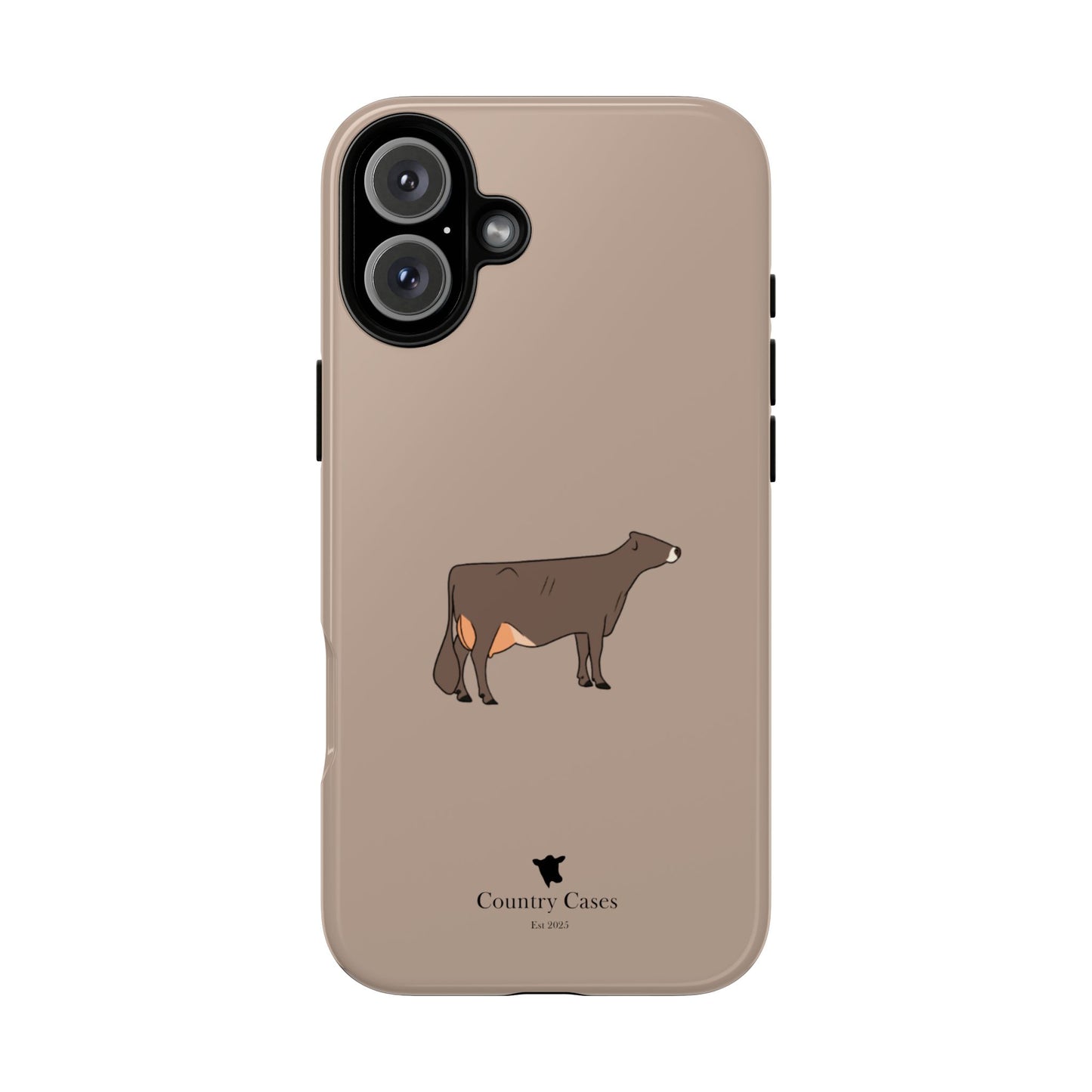 Brown Swiss case